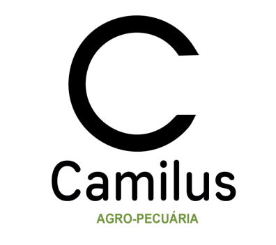 Cliente 5